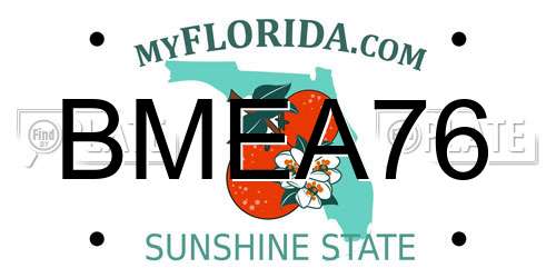 BMEA76 Florida License Plate