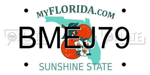 BMEJ79 Florida License Plate