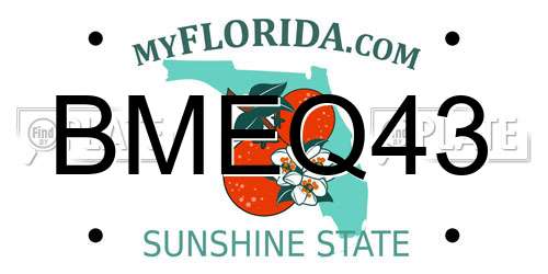 BMEQ43 Florida License Plate