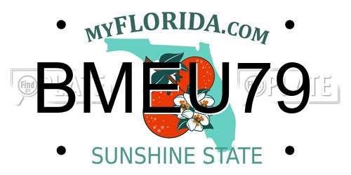 BMEU79 Florida License Plate