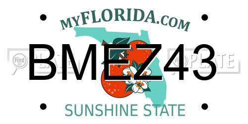 BMEZ43 Florida License Plate
