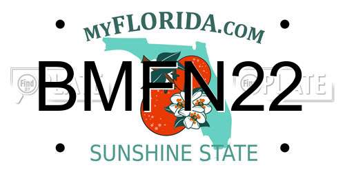 BMFN22 Florida License Plate