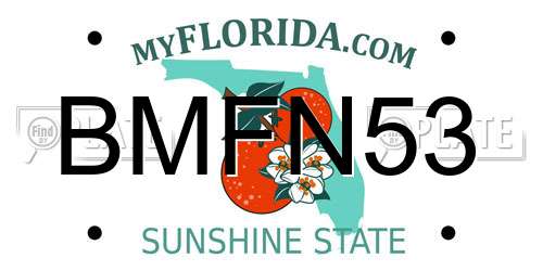 BMFN53 Florida License Plate
