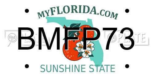 BMFP73 Florida License Plate