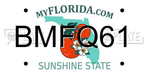 BMFQ61 Florida License Plate