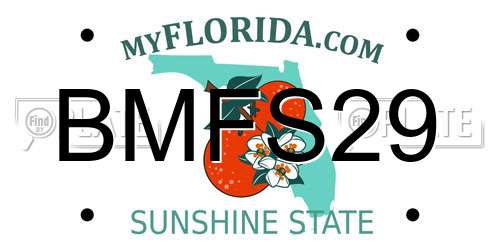 BMFS29 Florida License Plate