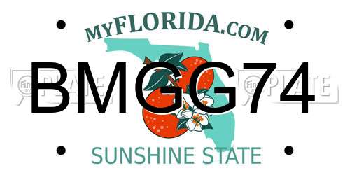 BMGG74 Florida License Plate