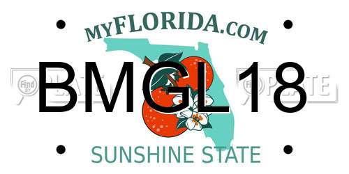 BMGL18 Florida License Plate