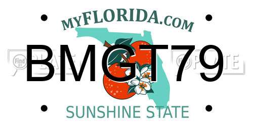 BMGT79 Florida License Plate