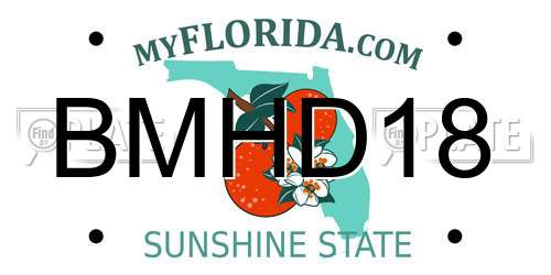 BMHD18 Florida License Plate