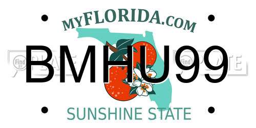 BMHU99 Florida License Plate