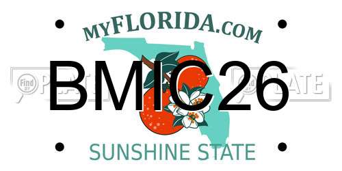BMIC26 Florida License Plate