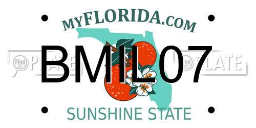 BMIL07 Florida License Plate