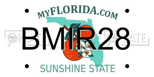 BMIR28 Florida License Plate