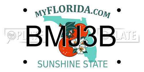 BMJ3B Florida License Plate