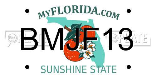 BMJF13 Florida License Plate