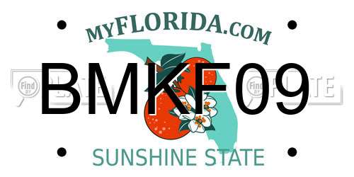 BMKF09 Florida License Plate