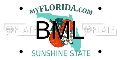 BML Florida License Plate