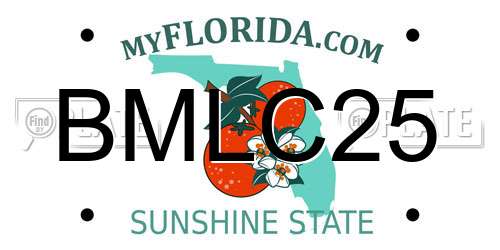 BMLC25 Florida License Plate