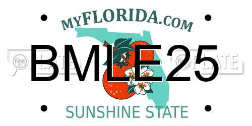 BMLE25 Florida License Plate