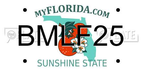 BMLF25 Florida License Plate