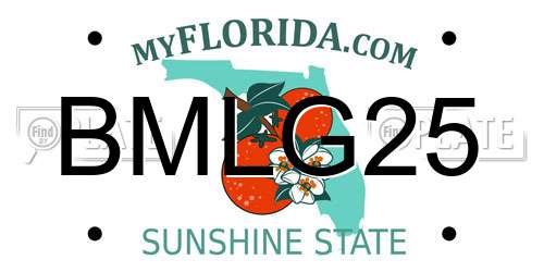BMLG25 Florida License Plate