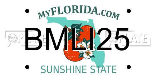 BMLI25 Florida License Plate