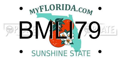 BMLI79 Florida License Plate
