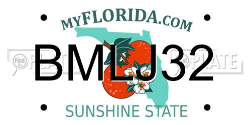 BMLJ32 Florida License Plate