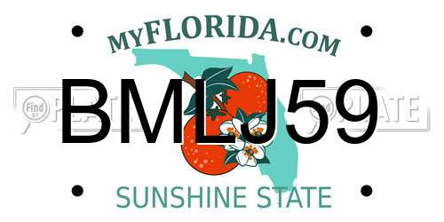 BMLJ59 Florida License Plate
