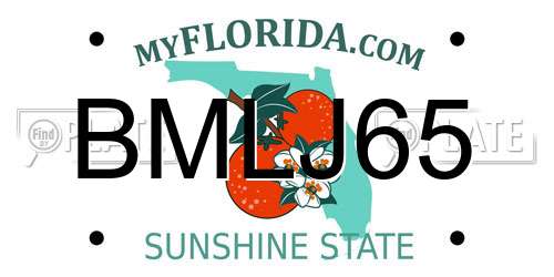 BMLJ65 Florida License Plate
