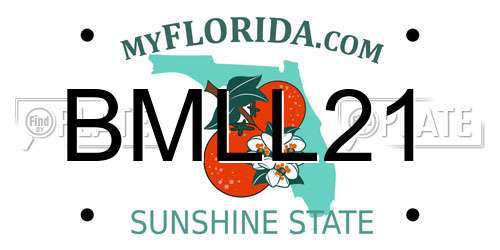 BMLL21 Florida License Plate