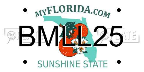 BMLL25 Florida License Plate