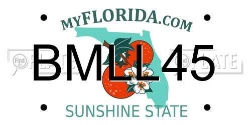 BMLL45 Florida License Plate