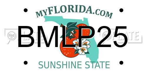 BMLP25 Florida License Plate