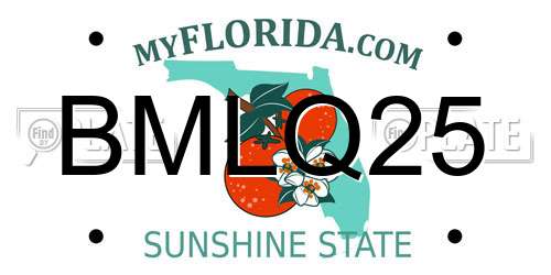 BMLQ25 Florida License Plate