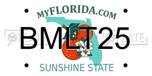 BMLT25 Florida License Plate