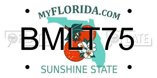 BMLT75 Florida License Plate