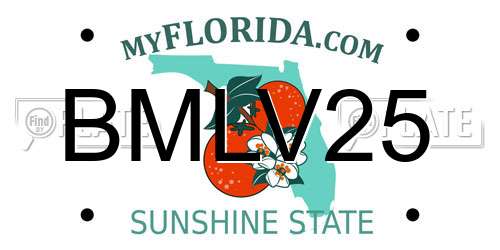 BMLV25 Florida License Plate