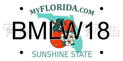 BMLW18 Florida License Plate