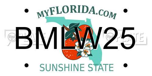 BMLW25 Florida License Plate