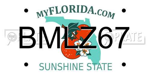 BMLZ67 Florida License Plate