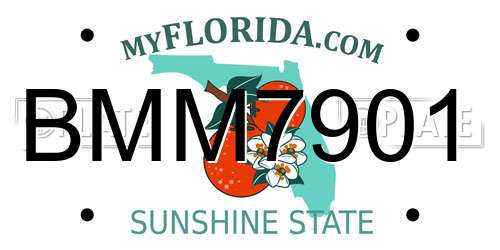 BMM7901 Florida License Plate