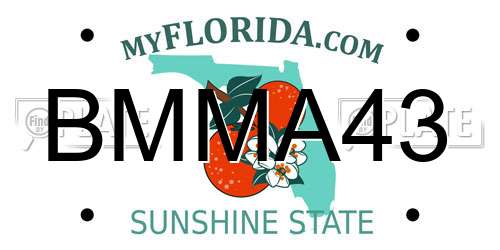 BMMA43 Florida License Plate