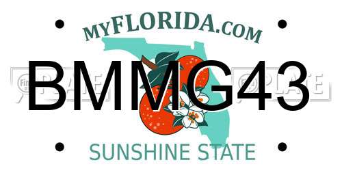 BMMG43 Florida License Plate