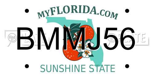 BMMJ56 Florida License Plate