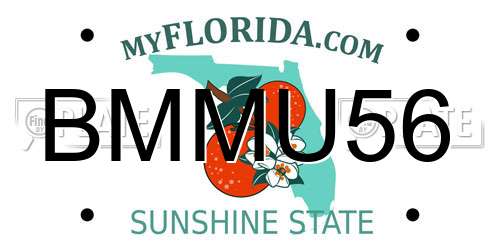 BMMU56 Florida License Plate