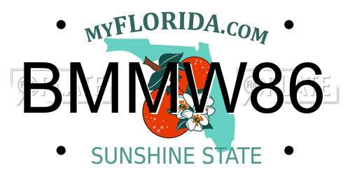 BMMW86 Florida License Plate