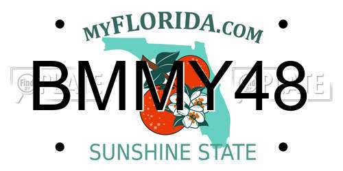 BMMY48 Florida License Plate