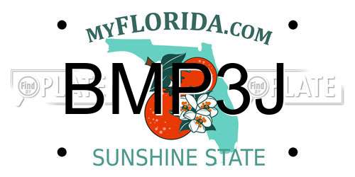 BMP3J Florida License Plate